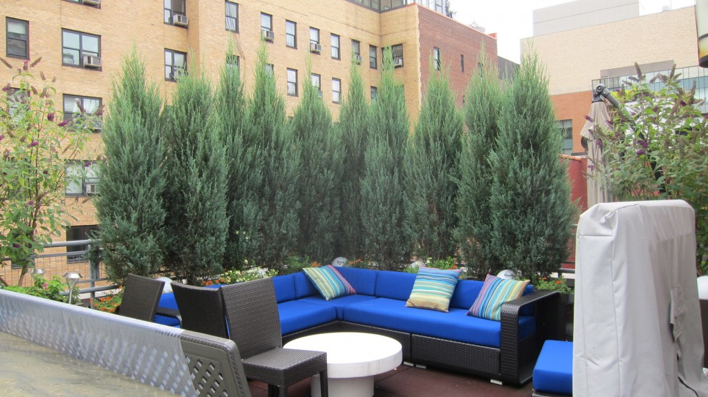 Outdoor furniture, sectional couch, sofa and loveseat for outdoor gardens
