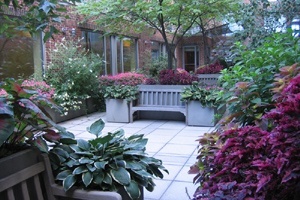 A common space garden patio with spring planting and trees in bloom